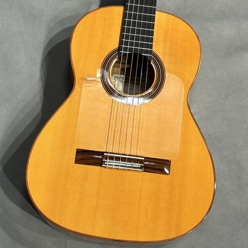 Flamenco chitarra acustica - flamenco,