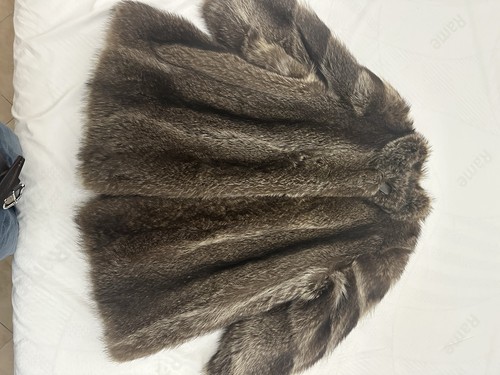 Pelliccia marmotta anni - marmotta,