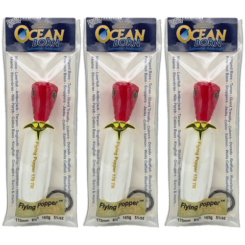 Ocean born flying - (lotto,