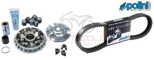 Kit variatore 241 619 - variatore, +