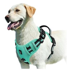 lionto Pettorina per cani Pettorina imbottita antitrazione riflettente r