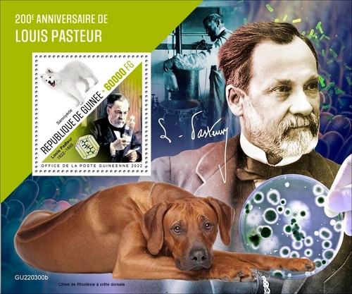 Francobolli louis pasteur cani - francobolli,