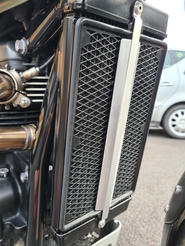 Protezione radiatore triumph - protezione,