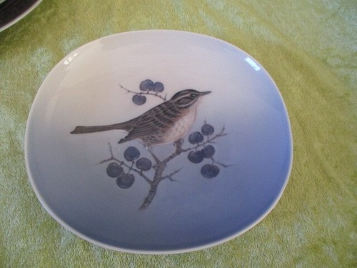 Bel piatto collezione da - piatto,