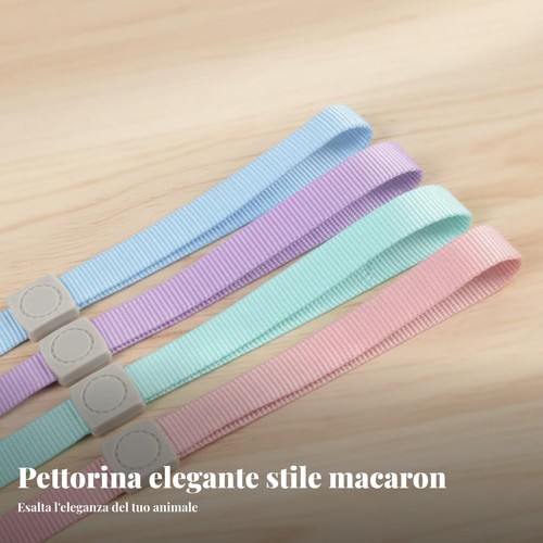 Pettorina guinzaglio per - pettorina,