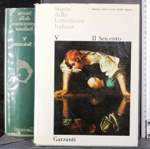 Storia della letteratura - storia,
