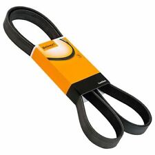 Cinghia Scanalata Trapezoidale Rewaco Triciclo RF1 Ford Zetec Motore 1,6l 85kw /