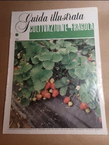 Agricoltura giardino orto - agricoltura,