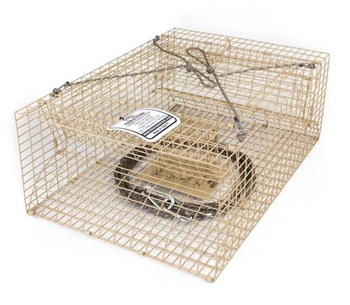 Trappola lago crayster - , di