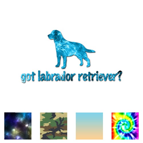 Got labrador retriever - labrador,