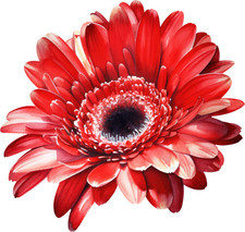 5 adesivi per auto 18 x 18