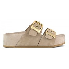 COLORS OF CALIFORNIA CIABATTA