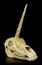 Teschio unicorno - cavallo