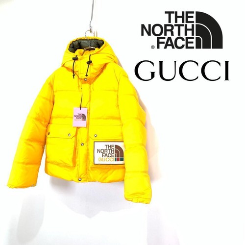 Gucci the north face - gucci,