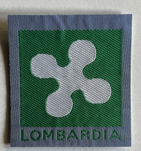 Scout agesci distintivo - scout,