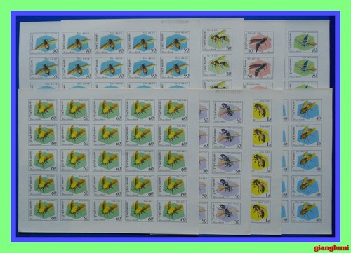 Vietnam api vespe - api,