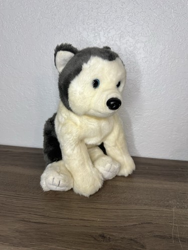 Peluche cane beanie - ty,