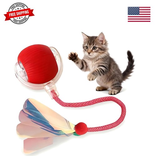 Smart cat toy - smart, per