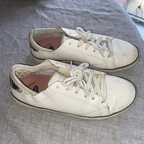 Scarpe sneakers scholls - dr.,