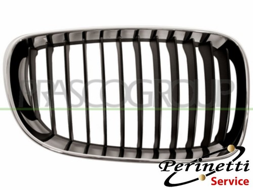 Griglia radiatore destra - griglia,