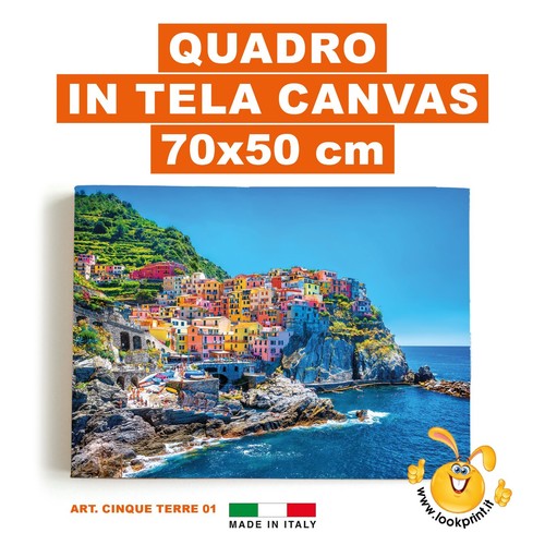Quadro tela canvas 70x50 cm - tela,