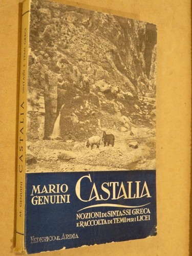 Castalia nozioni sintassi - nozioni,