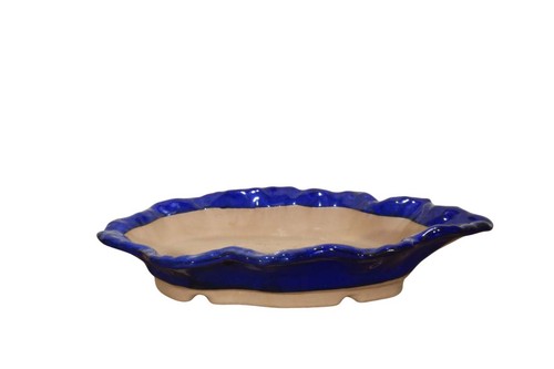 Piatto smaltato per - , bonsai