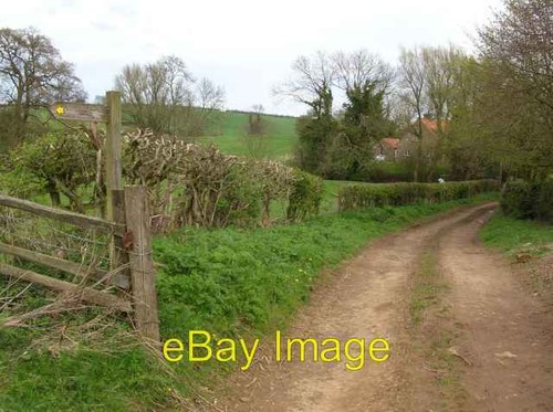 Photo 6x4 edge - edge, crambe