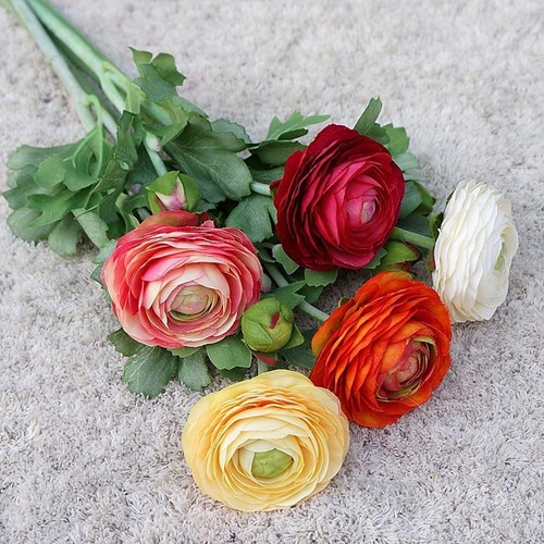 Peonia pregiata fiore seta - fiore,