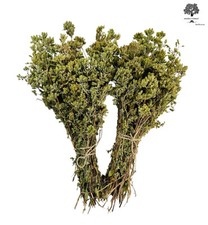 Mazzo di Origano di Montagna