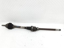 SEMIASSE ANTERIORE DESTRO