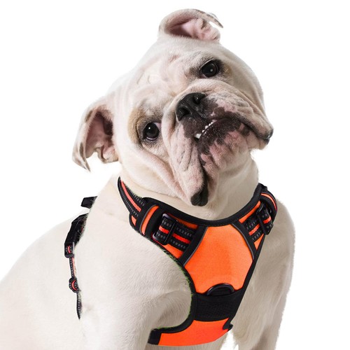 Eagloo pettorina cane taglia - eagloo,