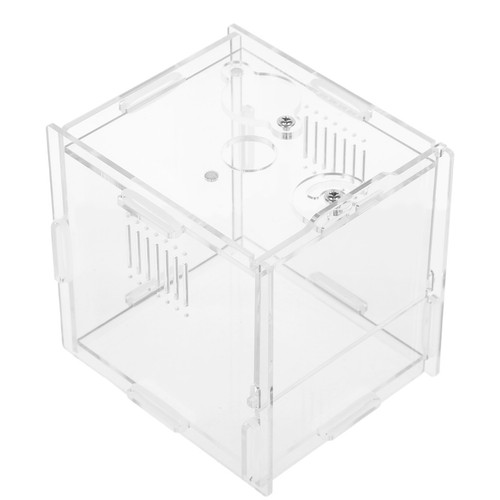 Contenitore terrario gabbia - contenitore,