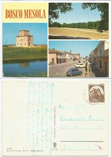 FERRARA (0597) - BOSCO MESOLA (vedute con auto) - FG/Vg 1980