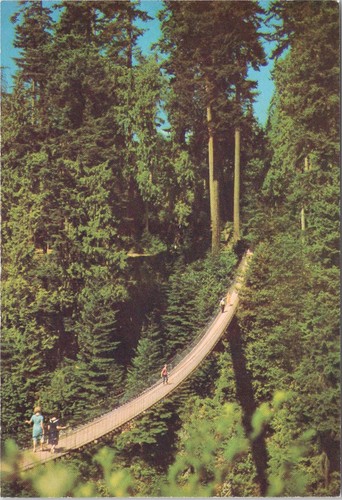 Capilano suspension bridge - capilano,