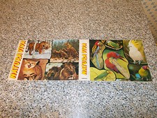 ALBUM NATURA VIVA ED.EDIBOY