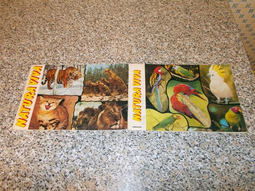 Album natura viva ediboy - album,