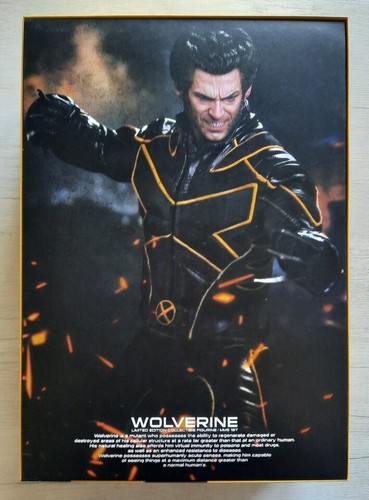Hot toys x - , x-men