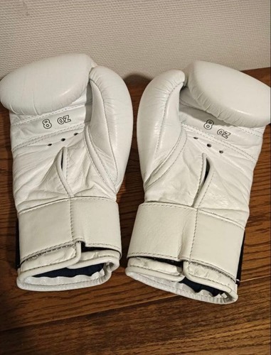 Guantoni boxe vincenti - da,