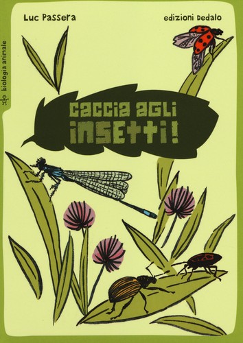 Caccia agli insetti - !, passera