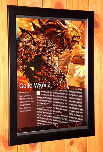 Guild wars videogioco pc - guild, 2