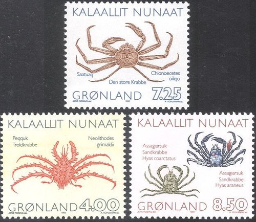 Groenlandia 1993