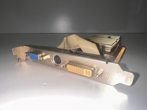 Scheda video msi nvidia - scheda,
