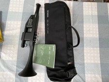 Strumento a fiato elettronico