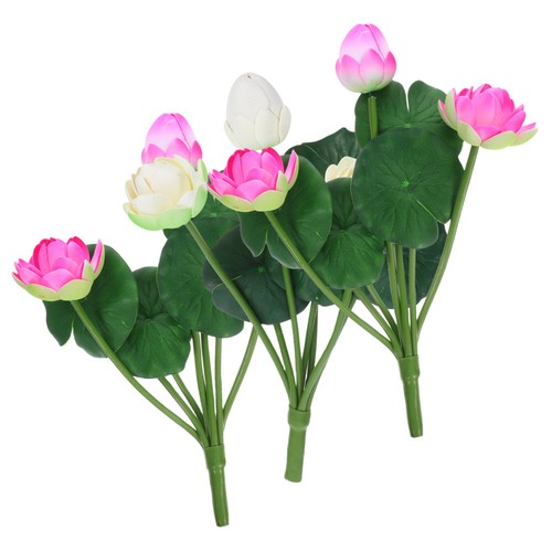 Pcs fiori loto - di,