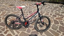 bicicletta 20 pollici bambina