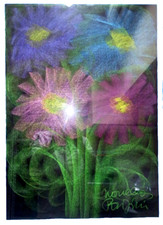 QUADRO stampa di disegno  FLOREALE moderno firmato -  cm 50x70