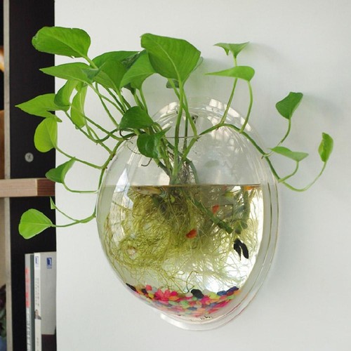 Ciotola per piante - , da