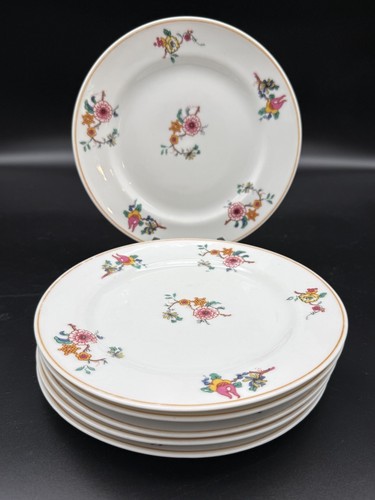 Pezzi piatti da pranzo - pezzi,