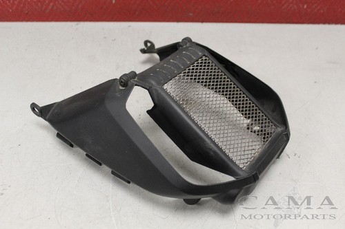 Protezione radiatore ducati - protezione,